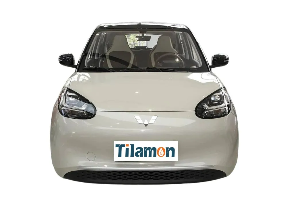 2025 Wuling Binguo EV Small Car