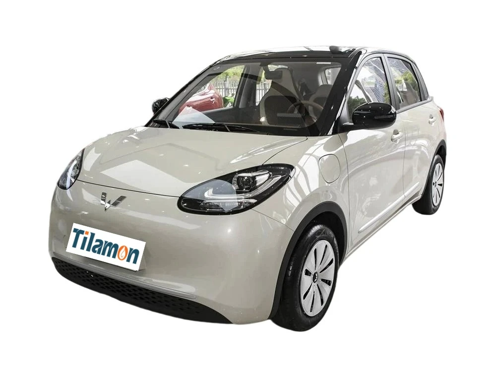 2025 Wuling Binguo EV Small Car
