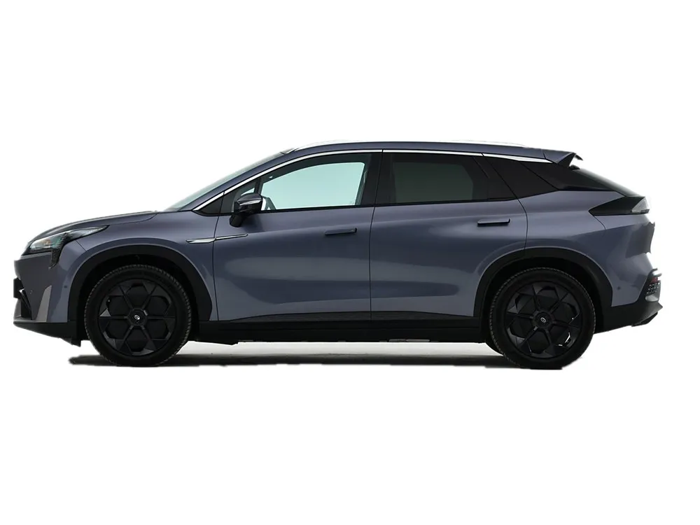 Aion LX