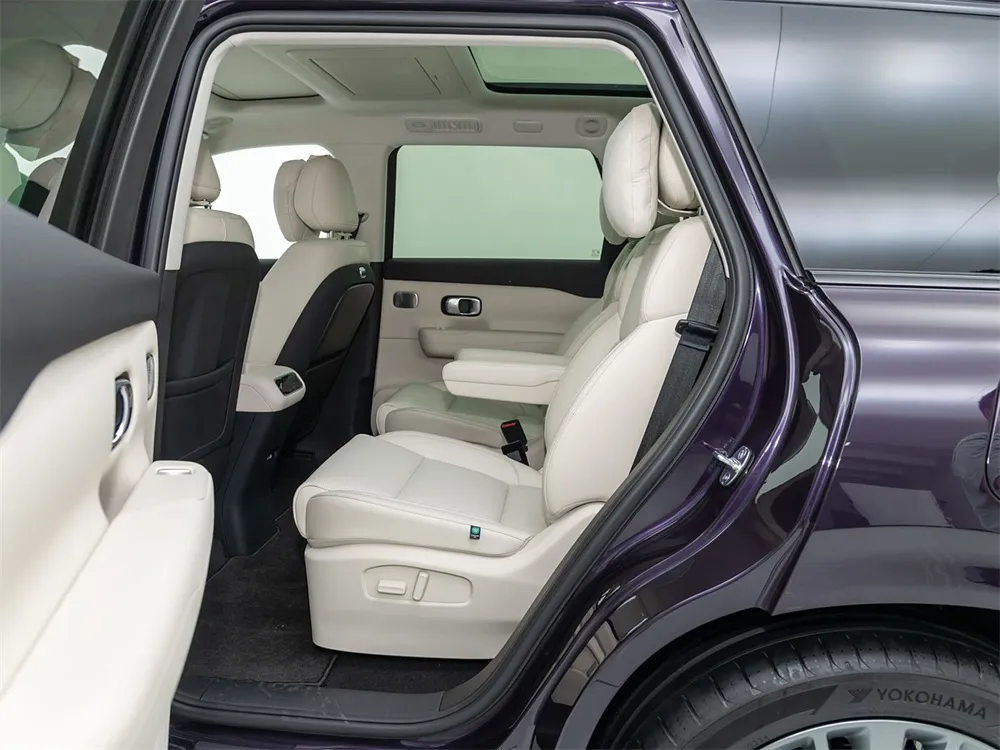 Leapmotor C16 Extended Range and Pure Electric Medium to Large SUV