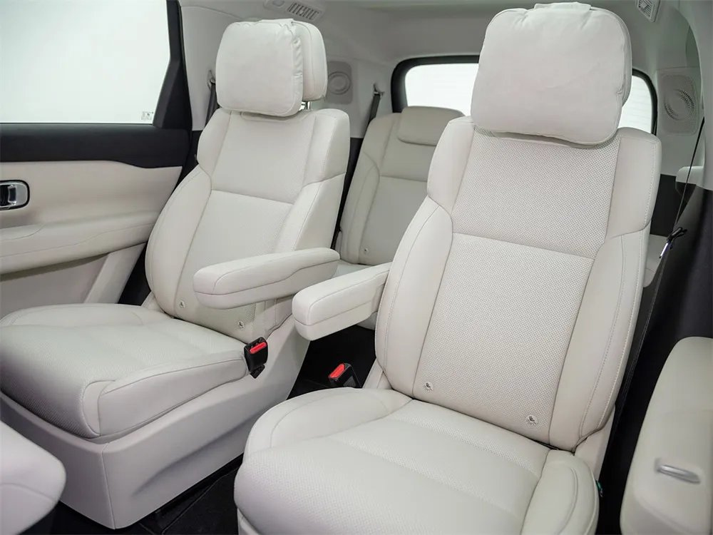 Leapmotor C16 Extended Range and Pure Electric Medium to Large SUV