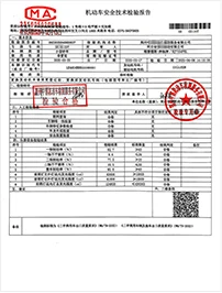 Safety Lnspection Report